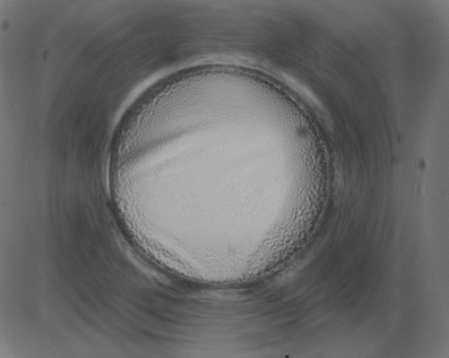 X0000081321272200702012350