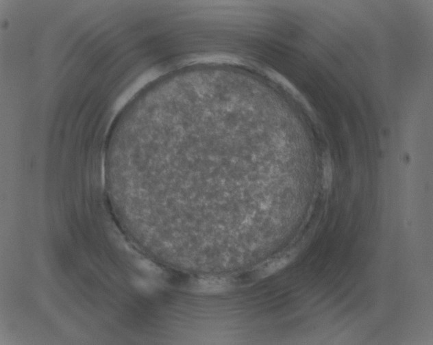 X0000081321274200702012350