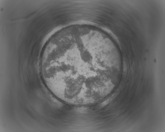 X0000081321278200702012350