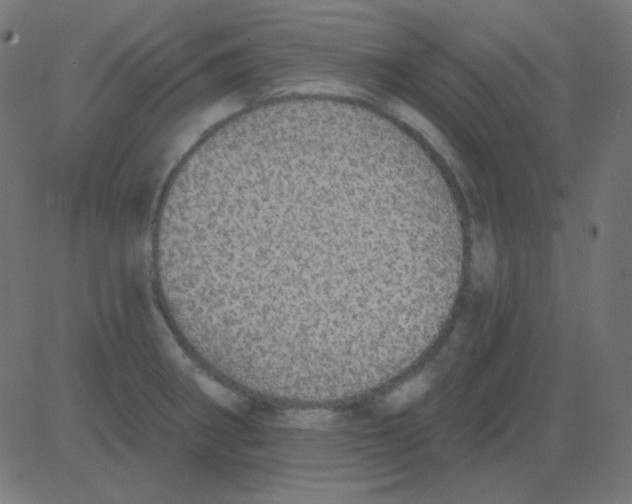 X0000081321282200702012350