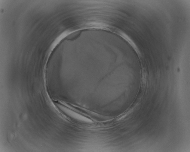 X0000081321291200702012350
