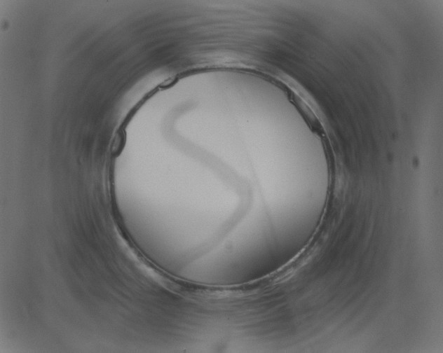 X0000081321293200702012350