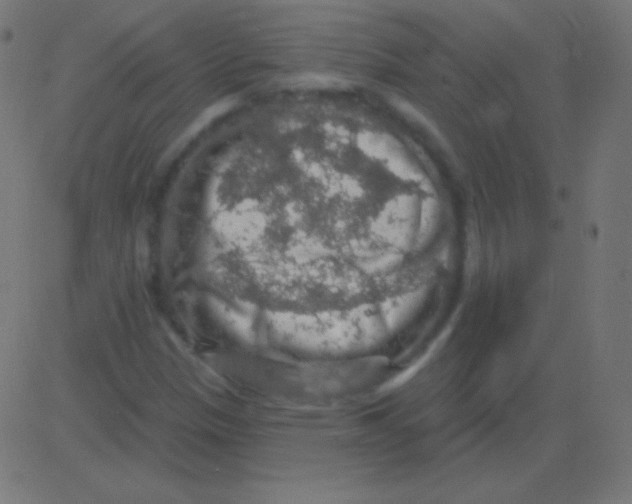 X0000081321305200702012349