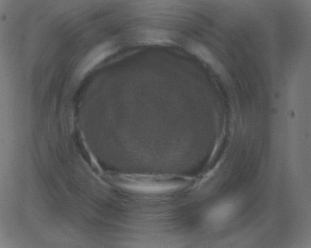 X0000081321306200702012349