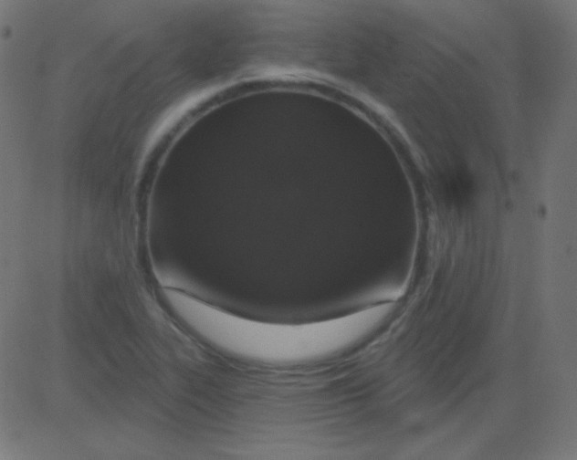 X0000081321319200702012349
