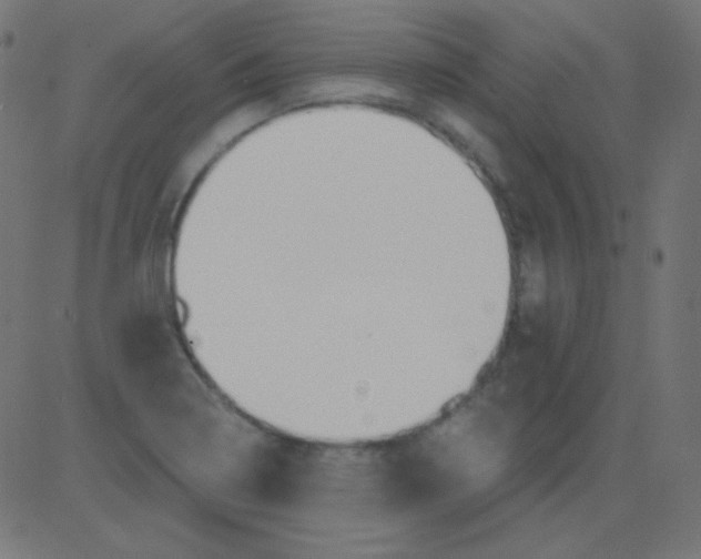 X0000081321322200702012349