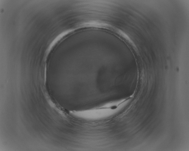 X0000081321323200702012349