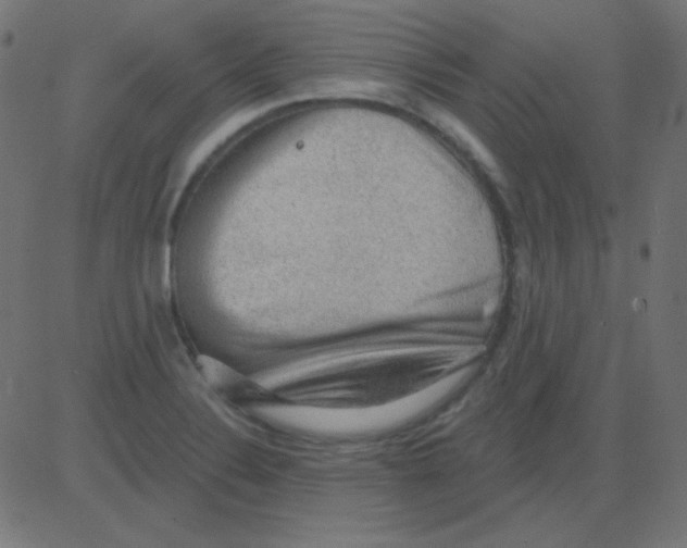 X0000081321324200702012349