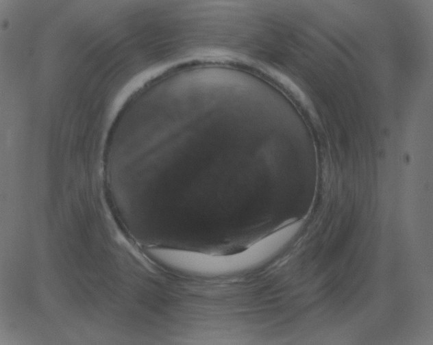 X0000081321327200702012349