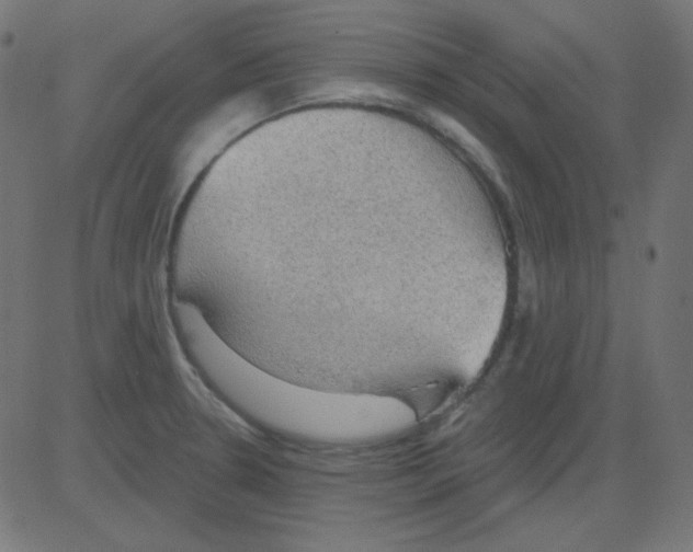 X0000081321330200702012350
