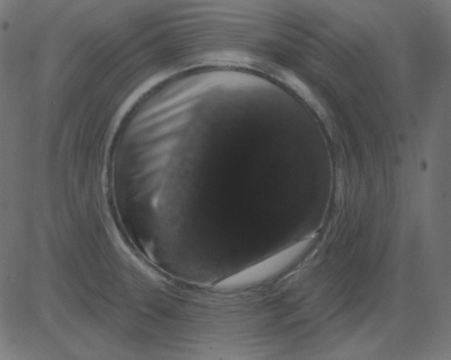 X0000081321331200702012350