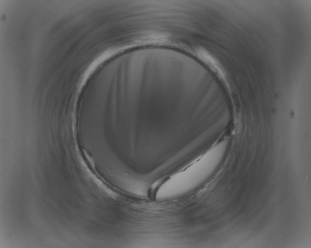 X0000081321334200702012350