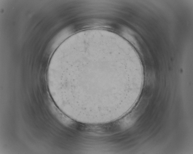 X0000081321338200702012350