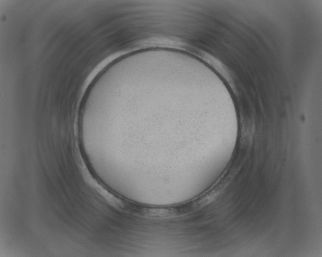 X0000081321339200702012350