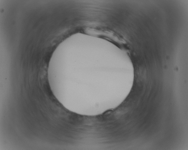 X0000081321349200702012349
