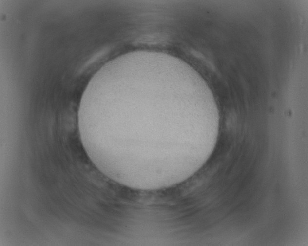 X0000081321350200702012349