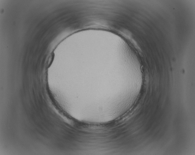 X0000081321375200702012348