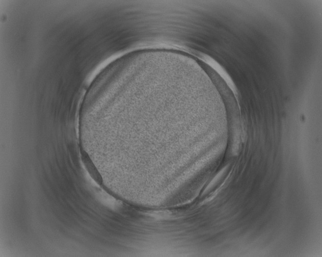 X0000081321388200702012348