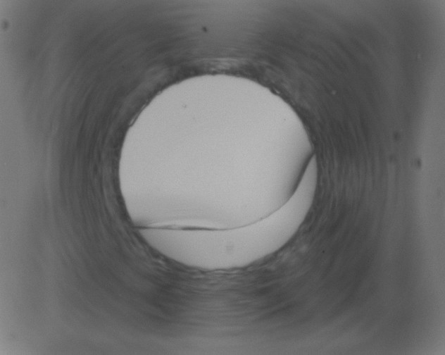 X0000081321393200702012347