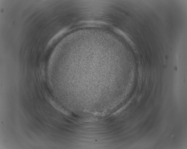 X0000081321403200702012348