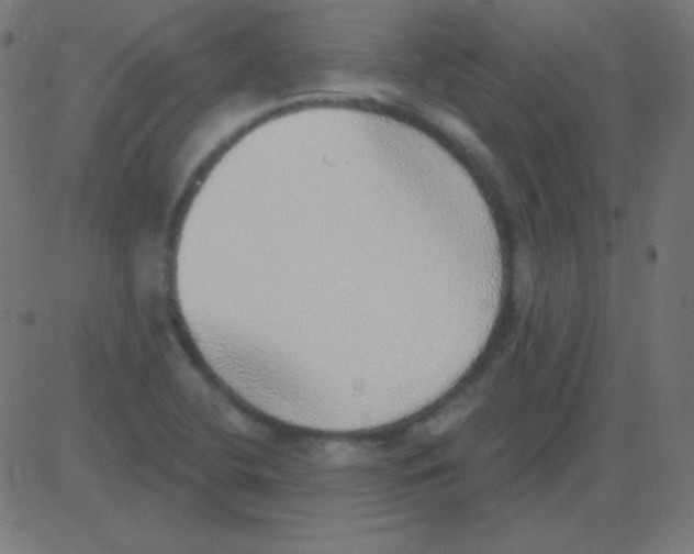 X0000081321412200702012348