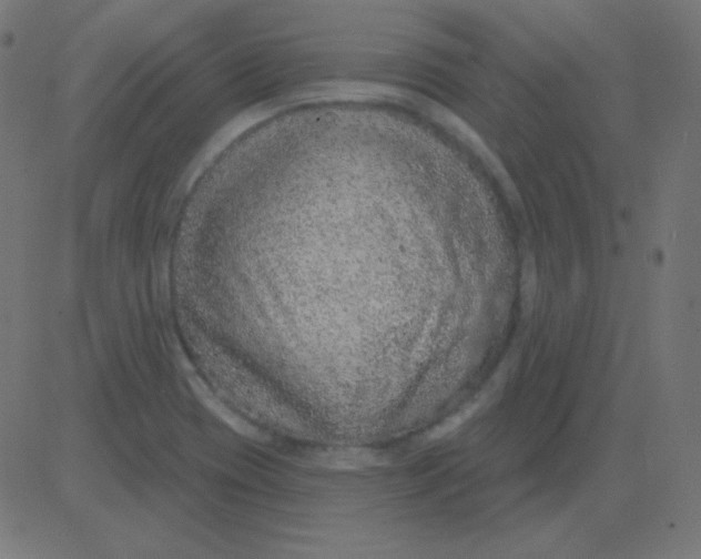 X0000081321417200702012348