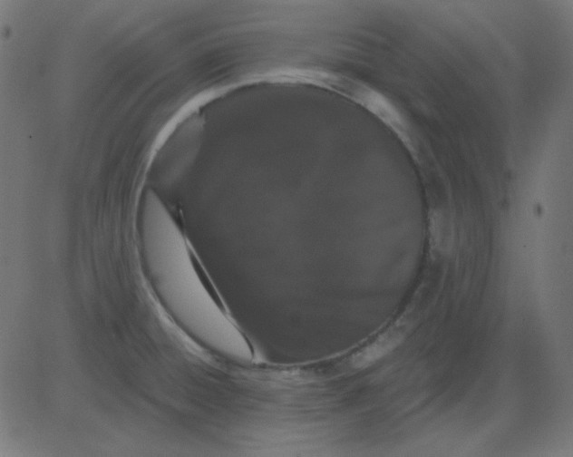 X0000081321428200702012348