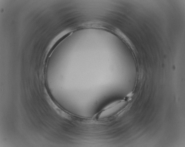 X0000081321434200702012348