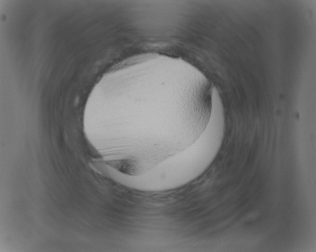 X0000081321441200702012347