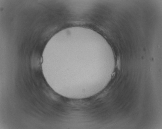 X0000081321444200702012347
