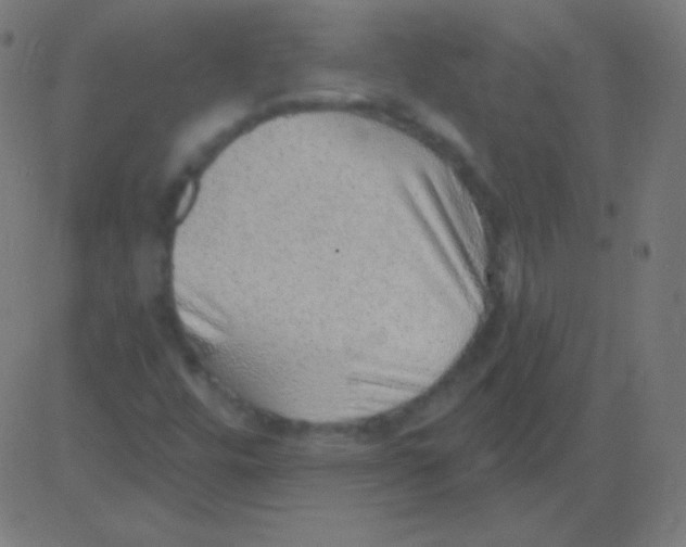 X0000081321448200702012347