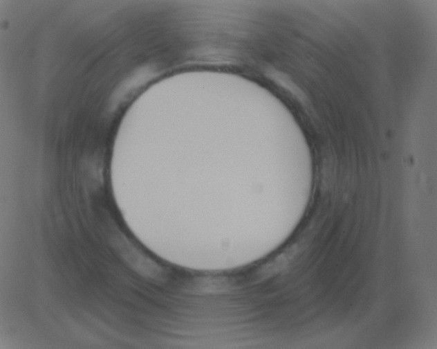 X0000081321451200702012347
