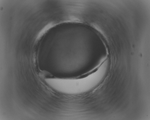 X0000081321455200702012347