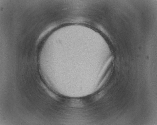 X0000081321456200702012347