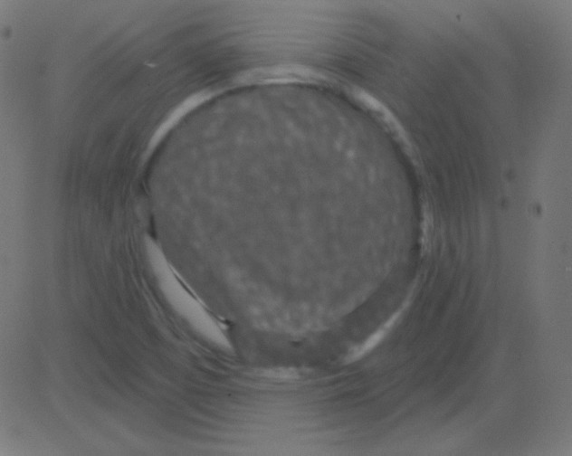 X0000081321457200702012347