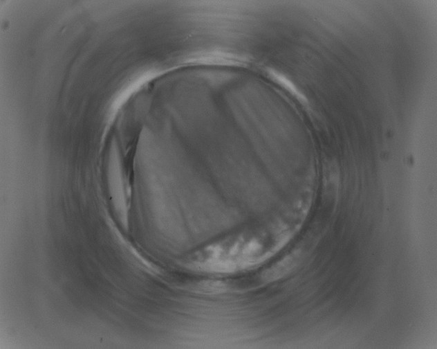 X0000081321463200702012347