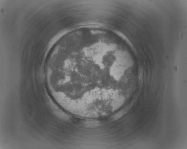 X0000081321466200702012347