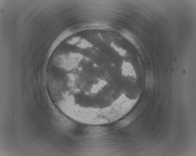 X0000081321474200702012347