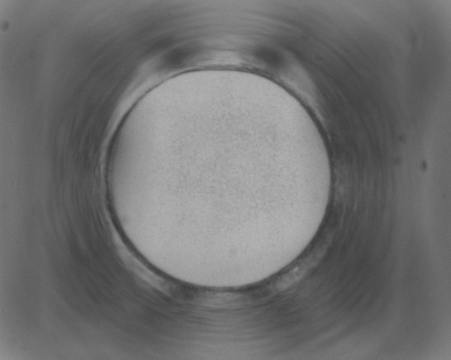 X0000081321475200702012347