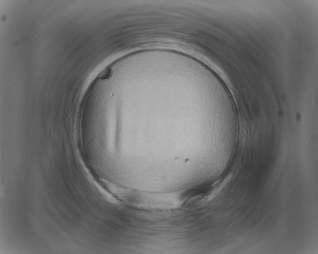 X0000081321533200702012347