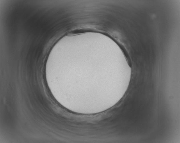 X0000081320001200702082148