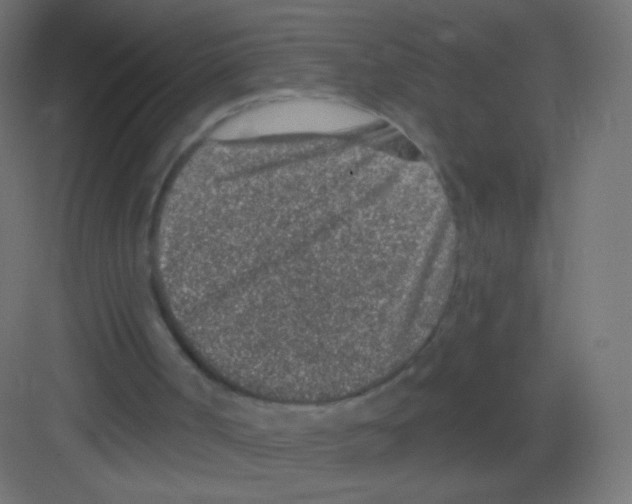 X0000081320002200702082148