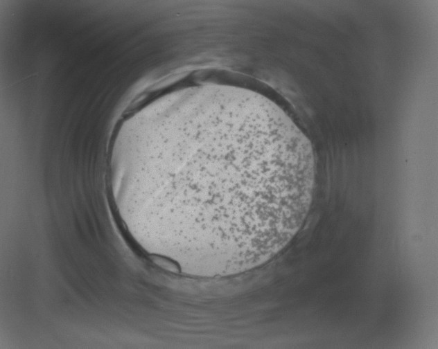 X0000081320003200702082148