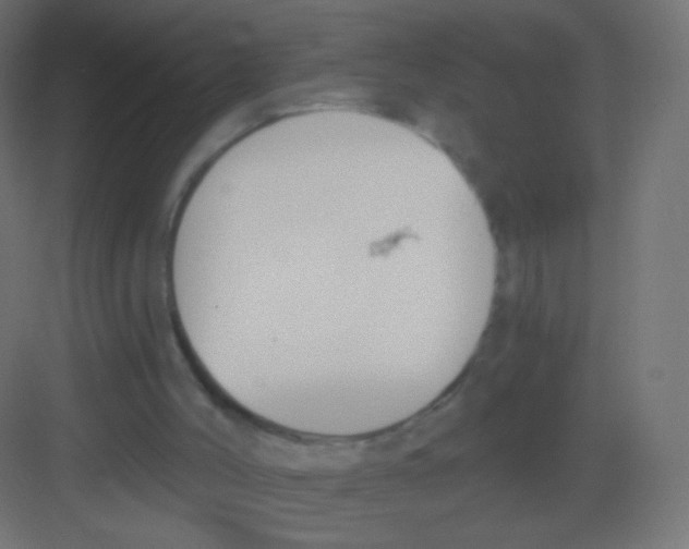 X0000081320004200702082148