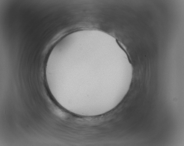 X0000081320005200702082148