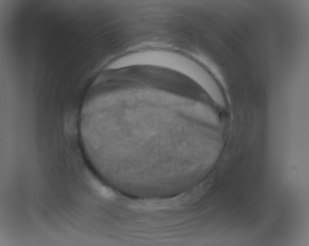 X0000081320009200702082148