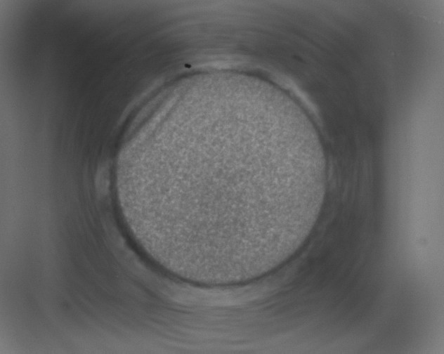 X0000081320010200702082148