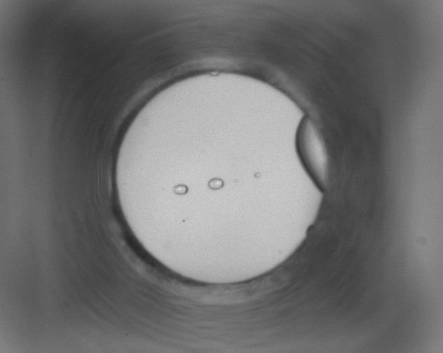 X0000081320011200702082148