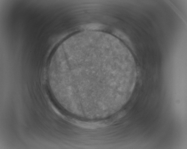 X0000081320012200702082148