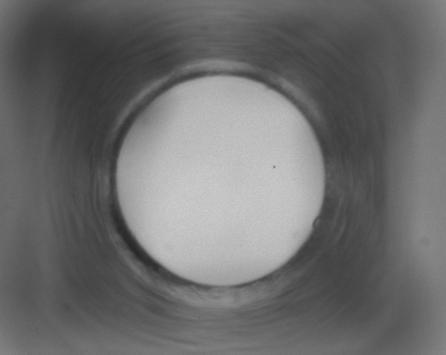 X0000081320015200702082148